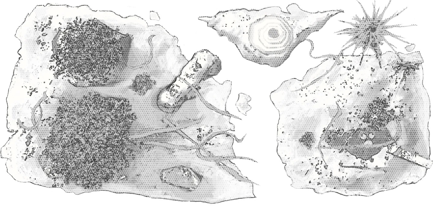 C-map.webp